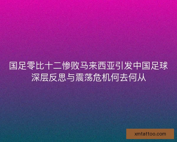 国足零比十二惨败马来西亚引发中国足球深层反思与震荡危机何去何从